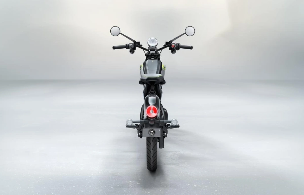 Flying Flea C6 India Launch Price in India